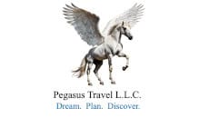 Pegasus Travel LLC